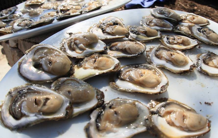 Željko Lukunić/PIXSELL