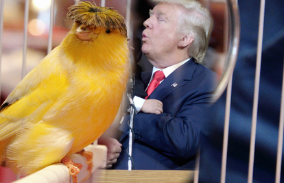 Predsjednik Donald Trump je Donald Duck američke politike