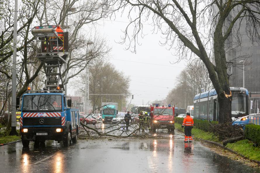 Zagreb: Zatvorena Vukovarska ulica  u smjeru zapada radi uklanjanja stabla