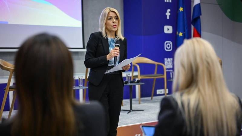 Vijeće Europe ističe važnost edukacija o sigurnosnim protokolima za zaštitu novinara
