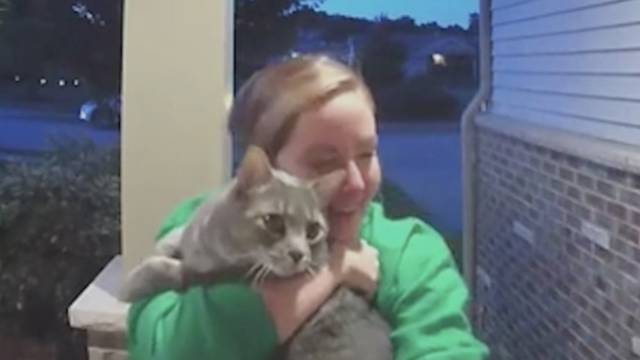 Emotivan trenutak povratka mačke svojoj obitelji: 'Sretni smo što se vratio živ'