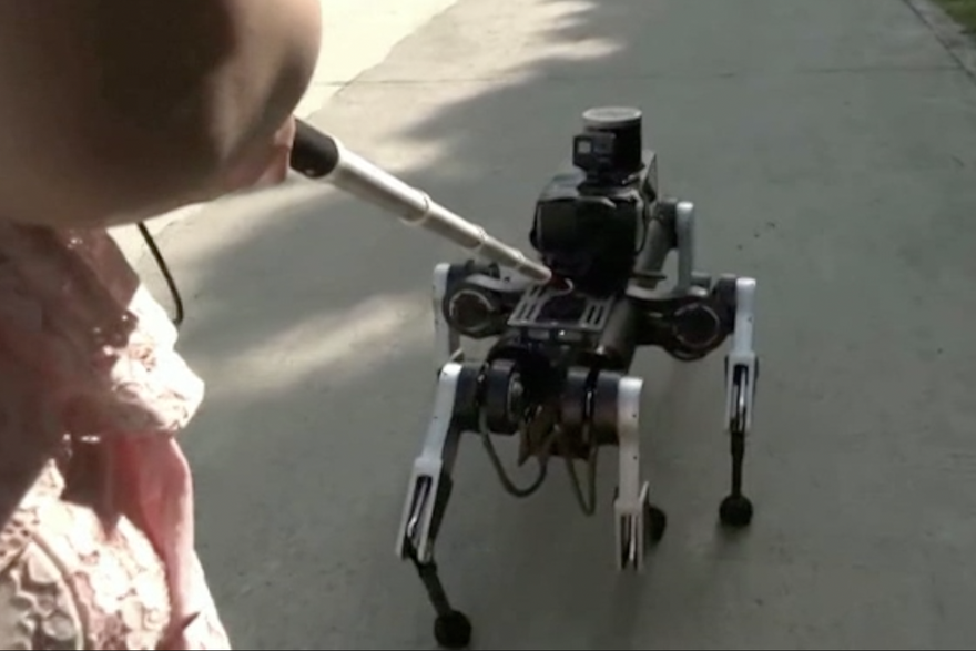 Robotski pas vodič za slijepe