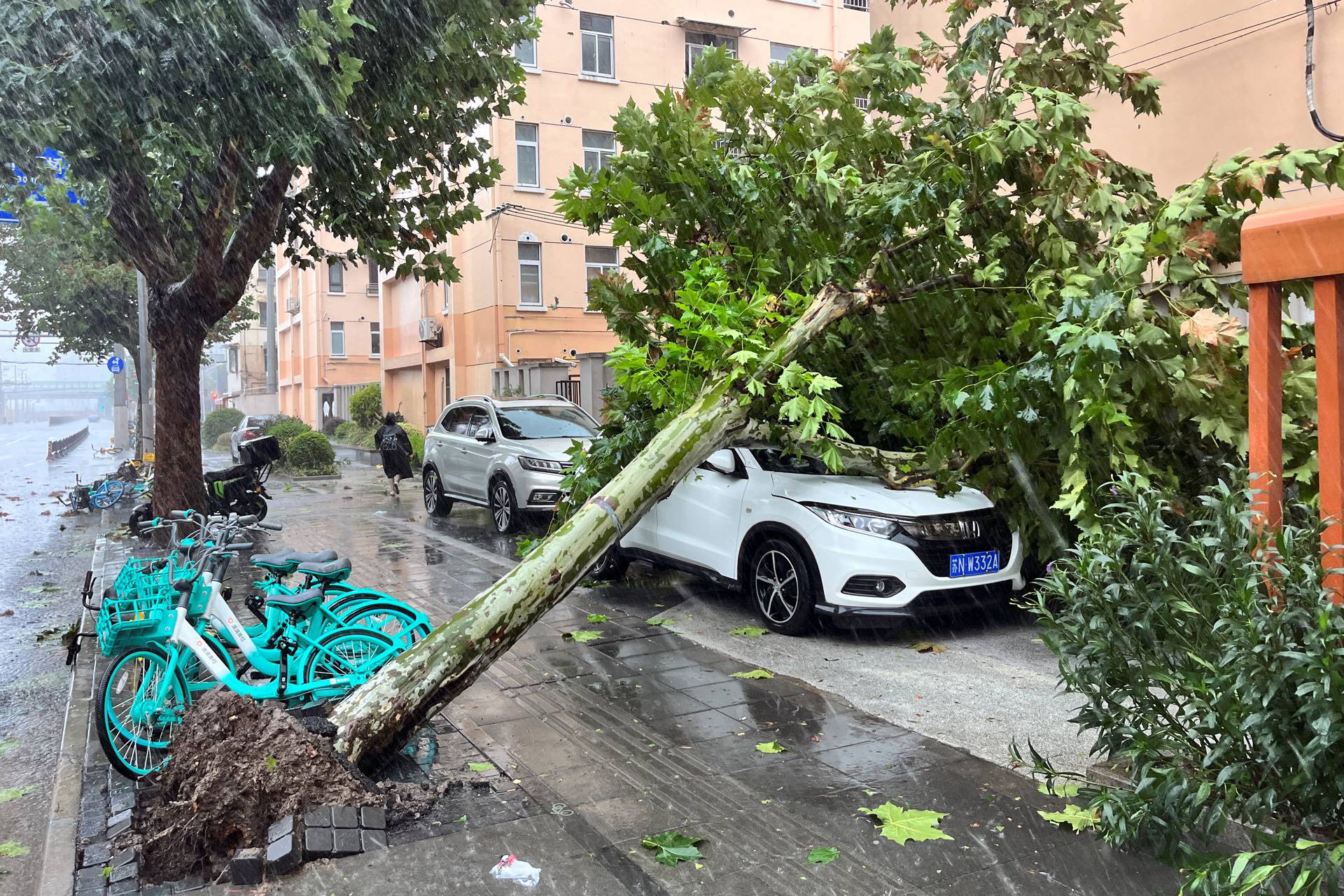 Aftermath of Typhoon Bebinca in Shanghai