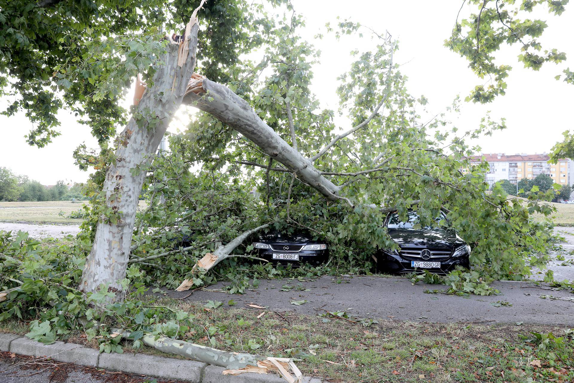 Zagreb: Posljedice oluje i dalje vidljive na ulicama