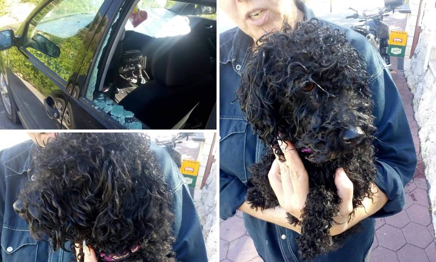 'Halo, policija?! Psić je u autu. Uzet ću kamen i razbiti prozor'