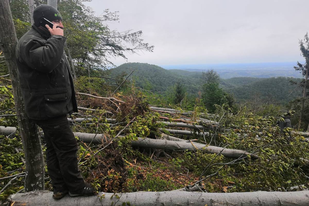 Prizor katastrofe: Oluja srušila stotine stabala na Medvednici