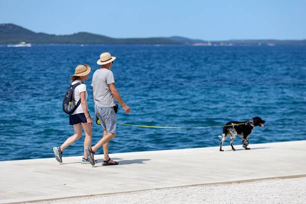 Sunčanje na rivi u Zadru