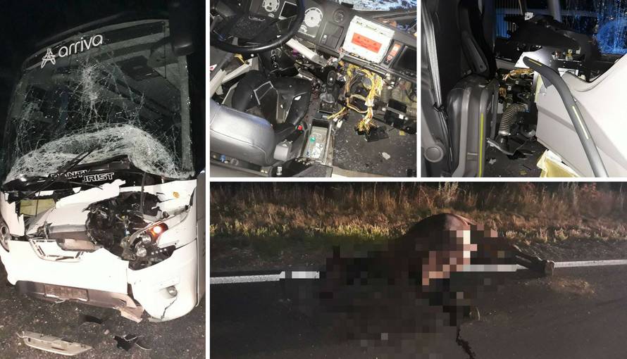 Stravična nesreća kod Udbine: Bus s putnicima udario u konja