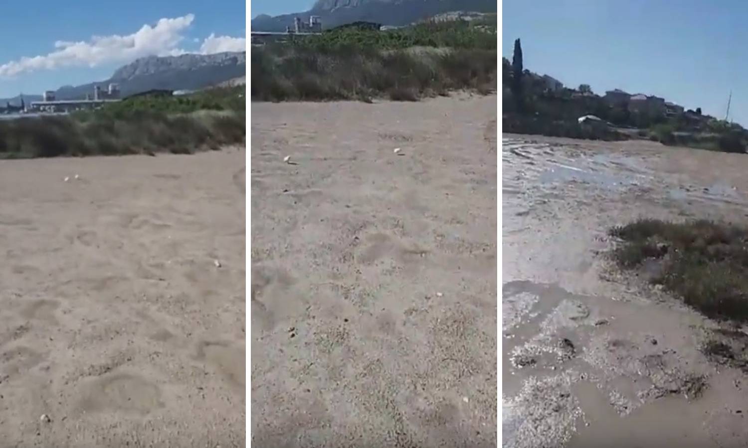 Netko je pustio stotinjak pilića koji jurcaju po blatu, spasite ih