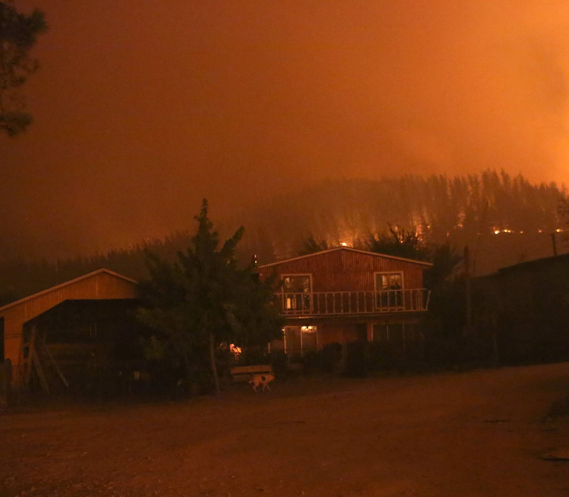 A house is seen in a forest fire in the town of Santa Olga in the Maule region, south of Chile
