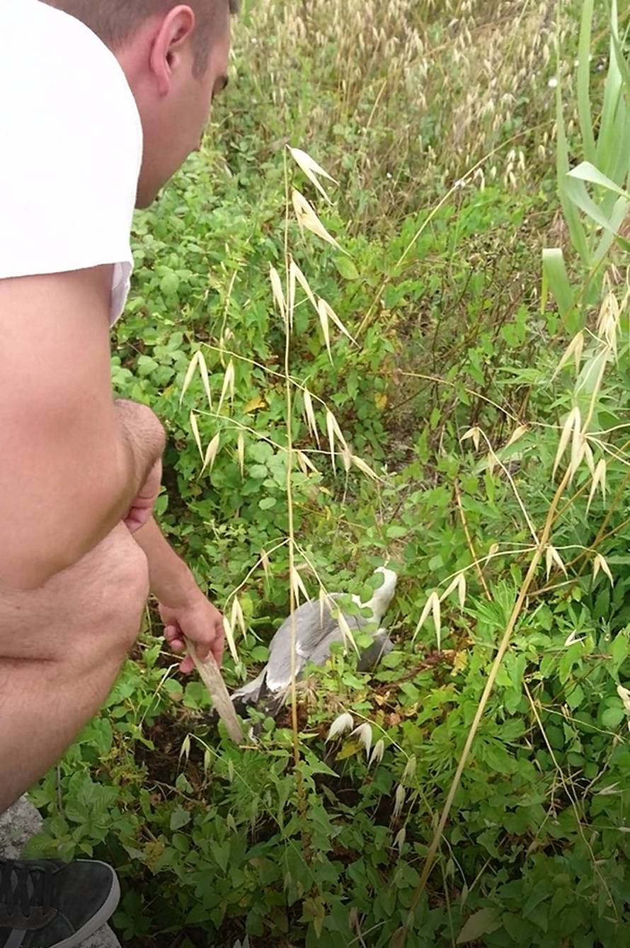 'Galeb bi uginuo u trnju, da prijatelj i ja nismo zalutali...'