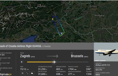Ptica udarila u avion na letu za Bruxelles: Vratili se u Zagreb...