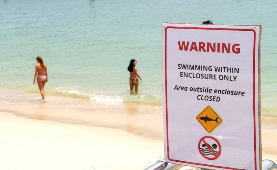 Shark attack in Sydney