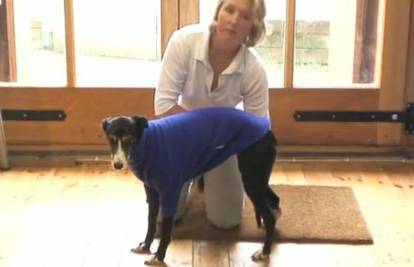 Posebni džemper pomaže psima da budu opušteni i mirni