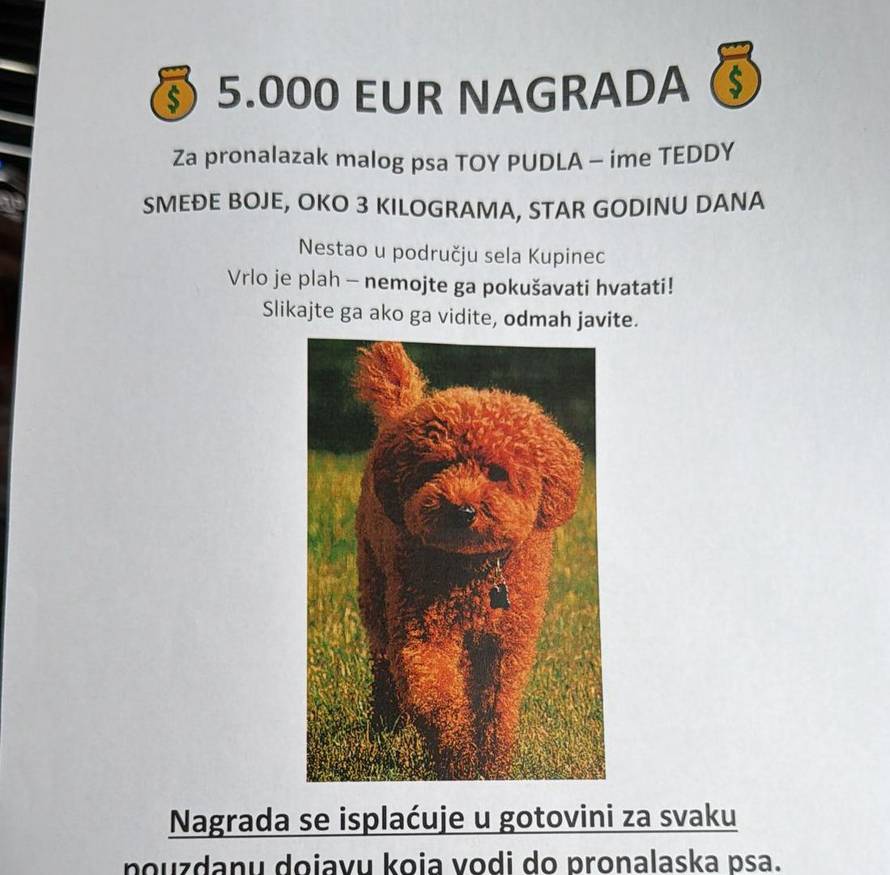 Bratu Mate Rimca nestao pas: Digli smo i dronove. Nudimo 5000 eura za informaciju!