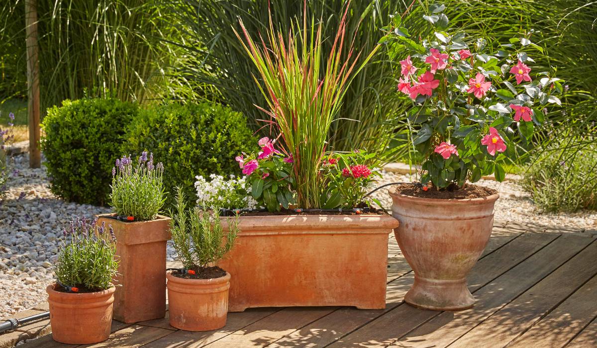 Sobne i vanjske biljke raduju se blagoj opskrbi vodom, osobito u toplijim mjesecima.