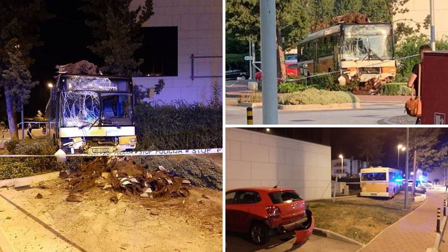 Goli do pasa ukrali autobus kod Dubrovnika, razbili ga i pobjegli