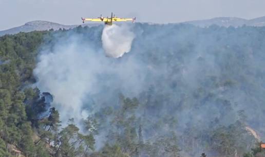 VIDEO Po&zcaron;ar u Novigradu! Gori borova &scaron;uma nedaleko od ku&cacute;a