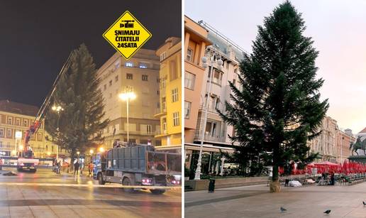 FOTO Na Trg postavili jelku! Stara je 40 godina, visoka 18 m
