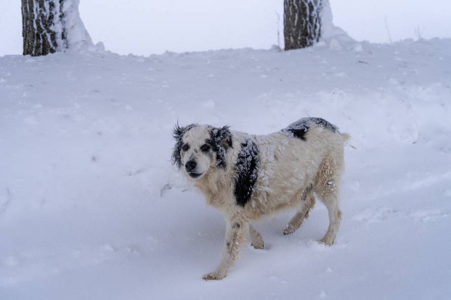 U Vrhovinama i Babinom Potoku palo je oko 50 do 80 cm snijega 