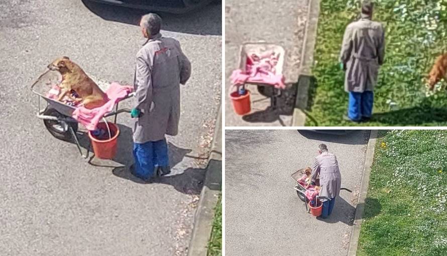 Fotka rasplakala Hrvatsku: 'Susjed svog bolesnog i starog psa svaki dan vozi na livadu'