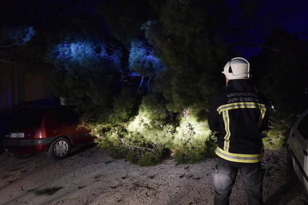 Šibenik: Vatrogasci s vozila uklanjaju stabla koja je srušila jaka bura