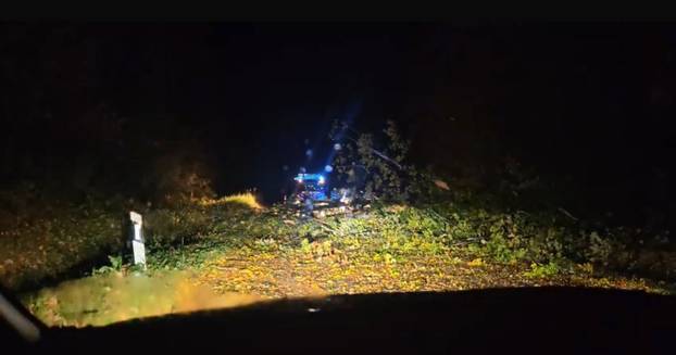 Nevrijeme pogodilo Zagreb. Vatrogasci su imali više od 50 intervencija! Pogledajte fotke