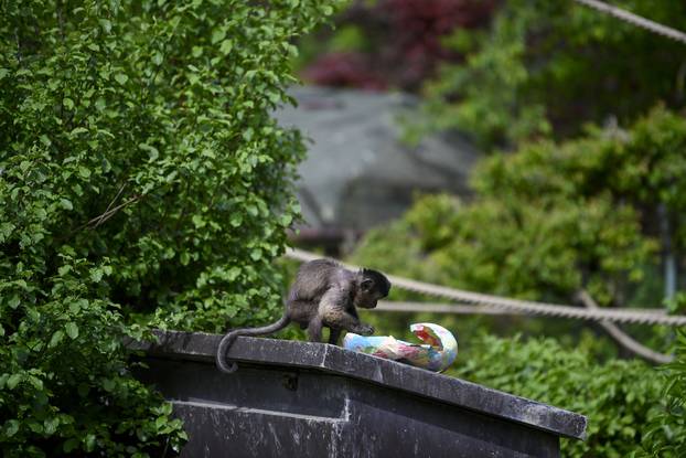 Zagreb: Podjela pisanica uz edukativni pogram za djecu u zoološkom vrtu
