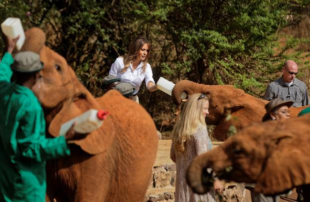 U.S. first lady Melania Trump feeds a baby elephant milk with a bottle, at the David Sheldrick Wildlife Trust Elephant Orphanage in Nairobi