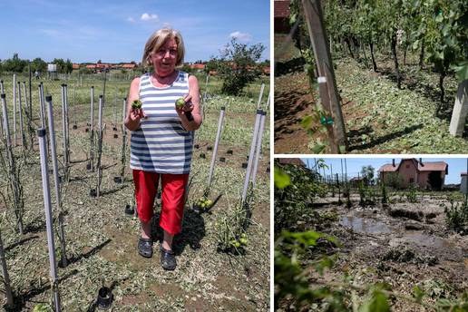 Tuča je poharala Zagorje: 'Bio je smak svijeta, sve je uništeno...'