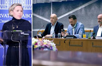 Kekin: 'Na skandaloznom skupu o Jasenovcu bila je i HDZ-ovka. Što sad kaže Jandroković?'