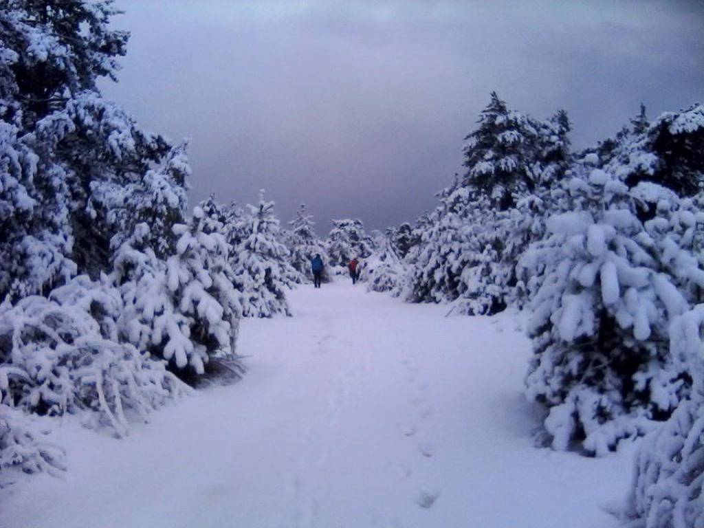 Pero Antunović/Crometeo