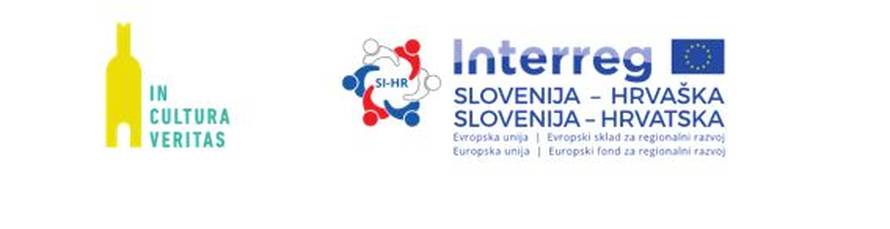 Nadomak Zagreba: vanserijska vina s Plešivice i zanimljivosti muzeja u Jastrebarskom