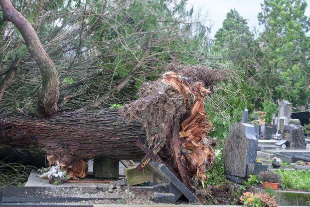 Zagreb: Teško oštećeno gradsko groblje Mirogoj