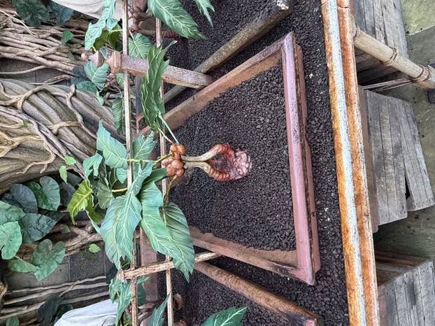 Vodimo vas u studio u kojem se 'rodio' Harry Potter: Pogledajte kako izgleda taj čarobni svijet