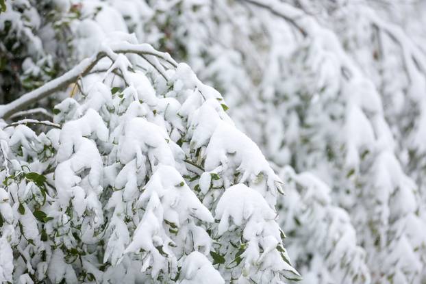 Prvi snijeg na planini Bjelašnici