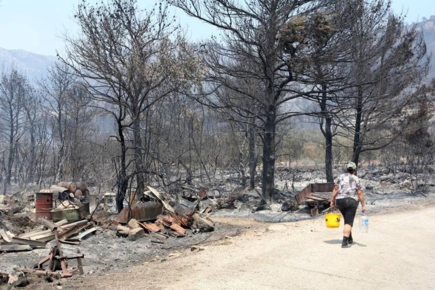 Grgo Jelavić/Pixsell