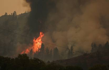 Ogroman požar u Portugalu: Jaki vjetar otežava gašenje, na terenu više od 1100 vatrogasaca