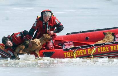 Drama u Kanadi: Spasili pse iz zaleđene rijeke