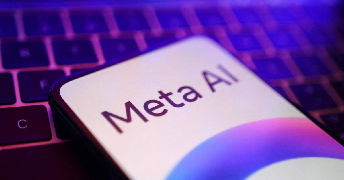 User data 'teaching' Meta's AI?  Only with permission, say European activists
