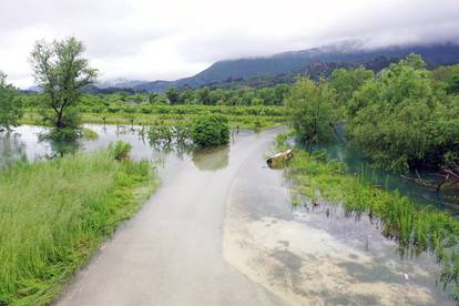 FOTO Zbog obilnih kiša zaustavljena berba vrgoračkih jagoda, polja su potopljena