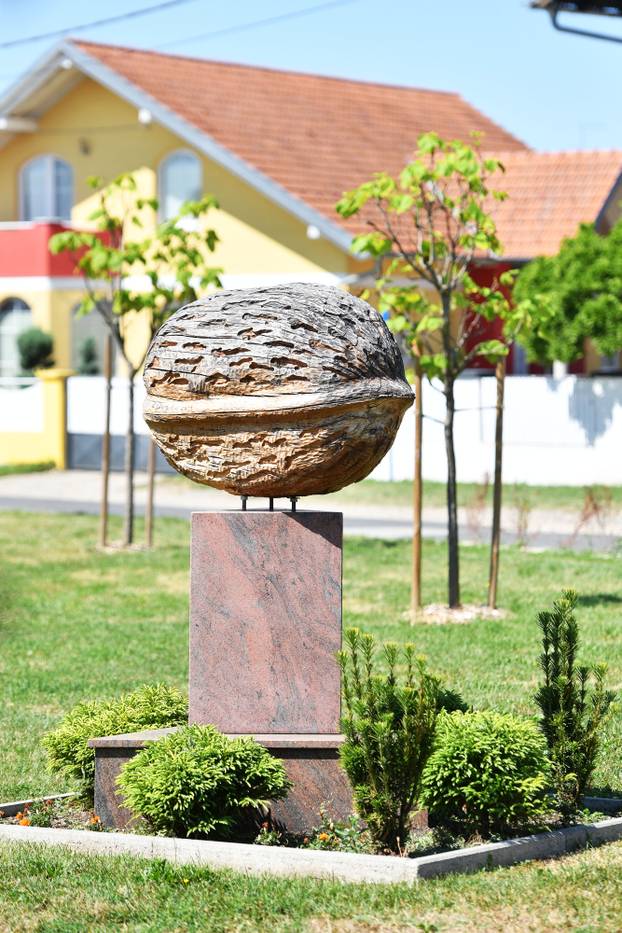 Posebni spomenici međimurskih općina