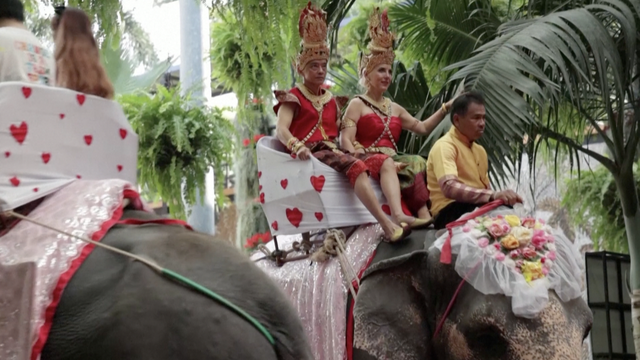 VIDEO Masovno vjenčanje na Valentinovo: Parovi zavjete izmijenili na slonovima