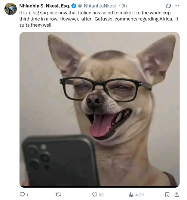 FOTO Društvene mreže pune su memova koji ismijavaju poraz Italije u Zenici: 'Pasta la vista!'