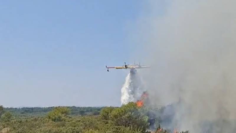 VIDEO Vatrogasci lokalizirali požar kod Zadra: Izgorjelo je 12 hektara borove šume i raslinja