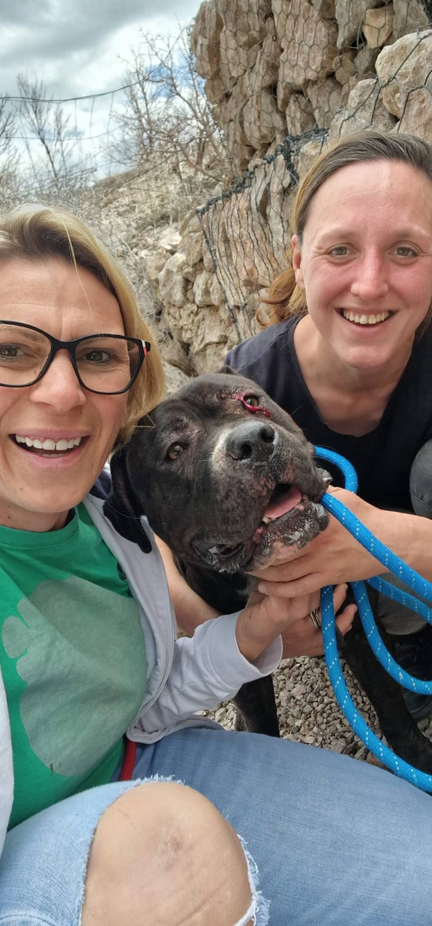 Pronašli su stafordicu koja je iz auta smrti iskočila na A1: 'Dobro je, ide kod obitelji preminulog'