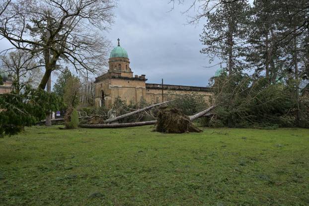Zagreb: U nevremenu teško oštećeno gradsko groblje Mirogoj