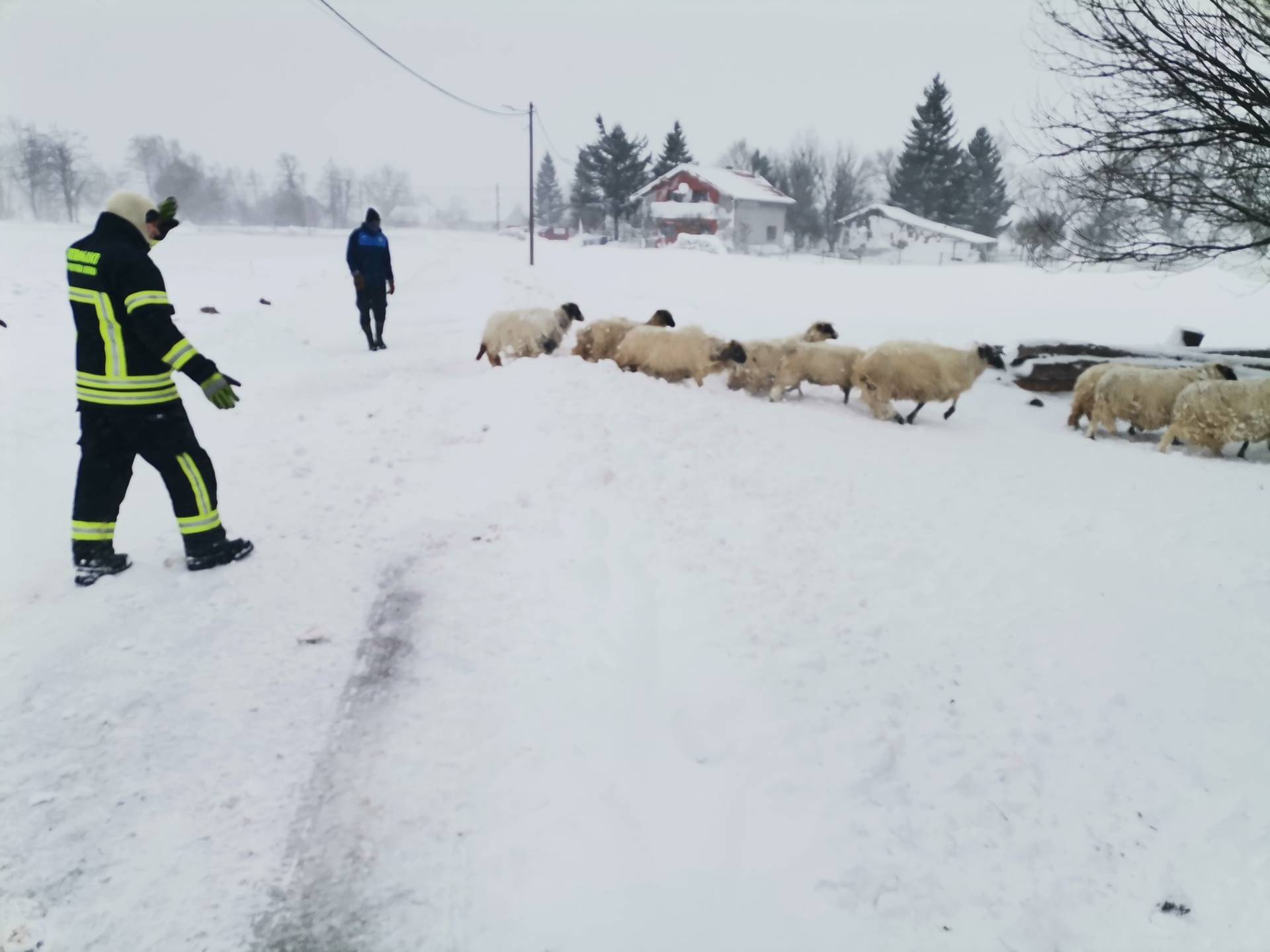 VIDEO Drama u Lici: Vatrogasci spasili 48 ljudi iz snježne oluje!