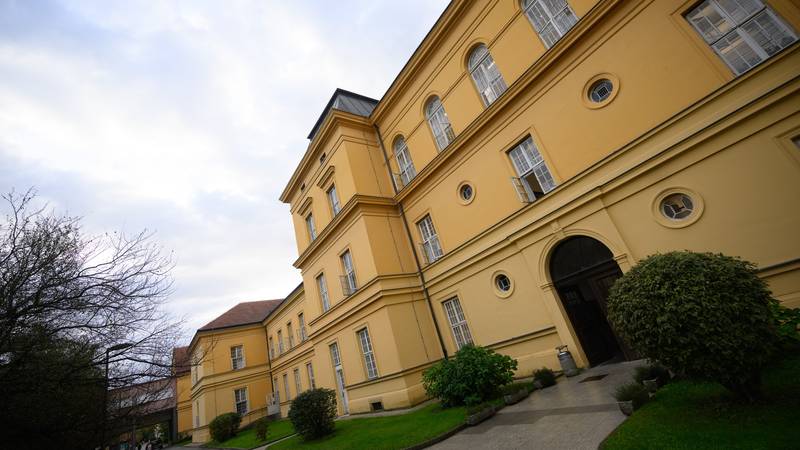 Stručnjaci: Osobe s duševnim smetnjama češće su same žrtve n