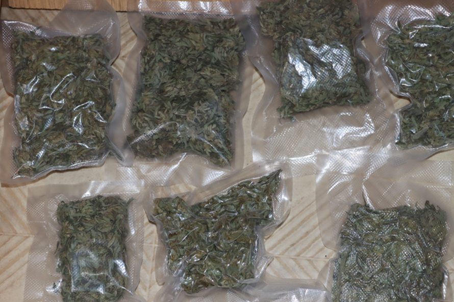 FOTO Četvorka kod Koprivnice uzgajala marihuanu, uhitili ih. Pronašli i kalašnjikov, pištolje...